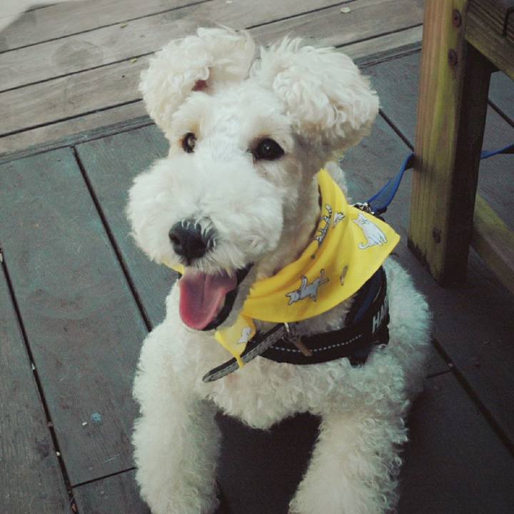 0e8c839a 9f1c 453e b2c4 de7487a53ea5