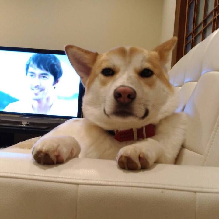 0e8cbb7f bc01 4cd7 bb5a 95d8f6a6dfa2