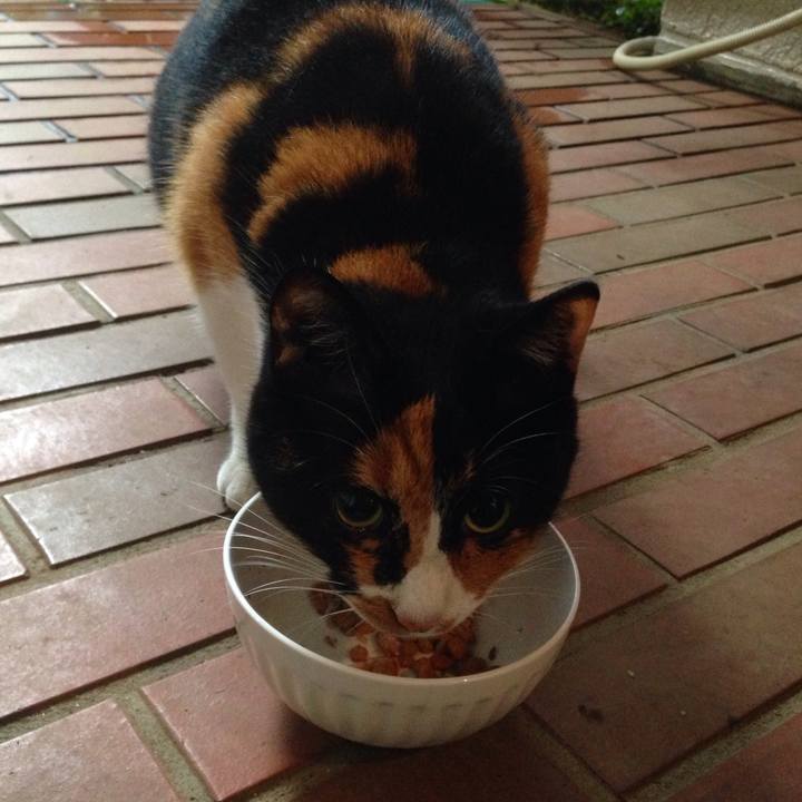 0e8ceeb5 3f12 406f b29f 333a9179638d