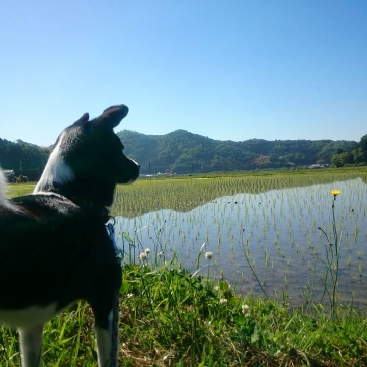 0e8df227 7ef8 475f a60d ea0e50345537