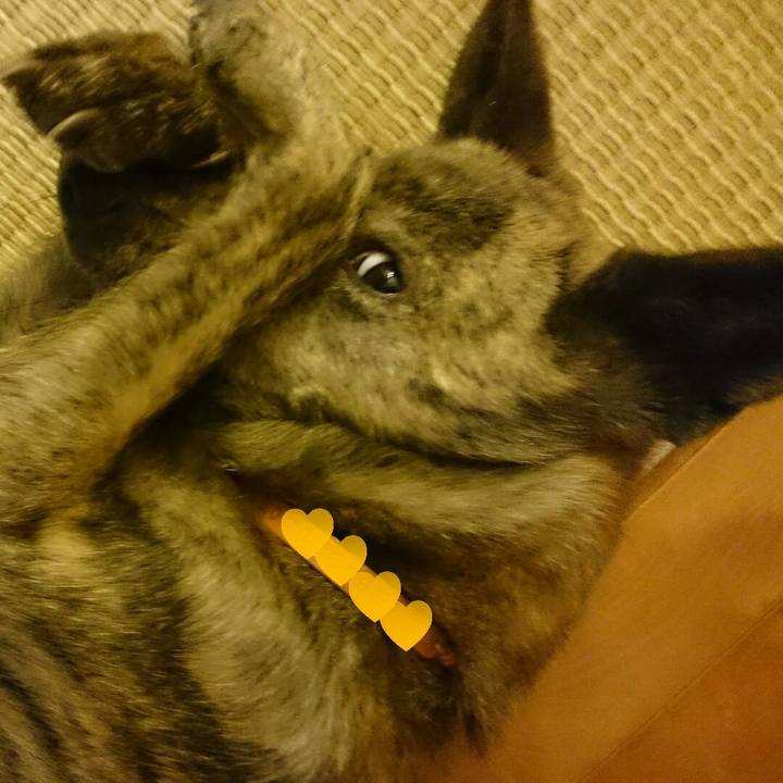 0e8e592a 40fc 4f3b 8755 418800507308