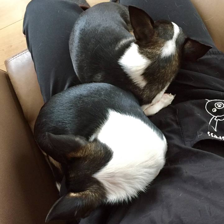 0e8ef530 16f8 4f16 ad84 183010ecec47