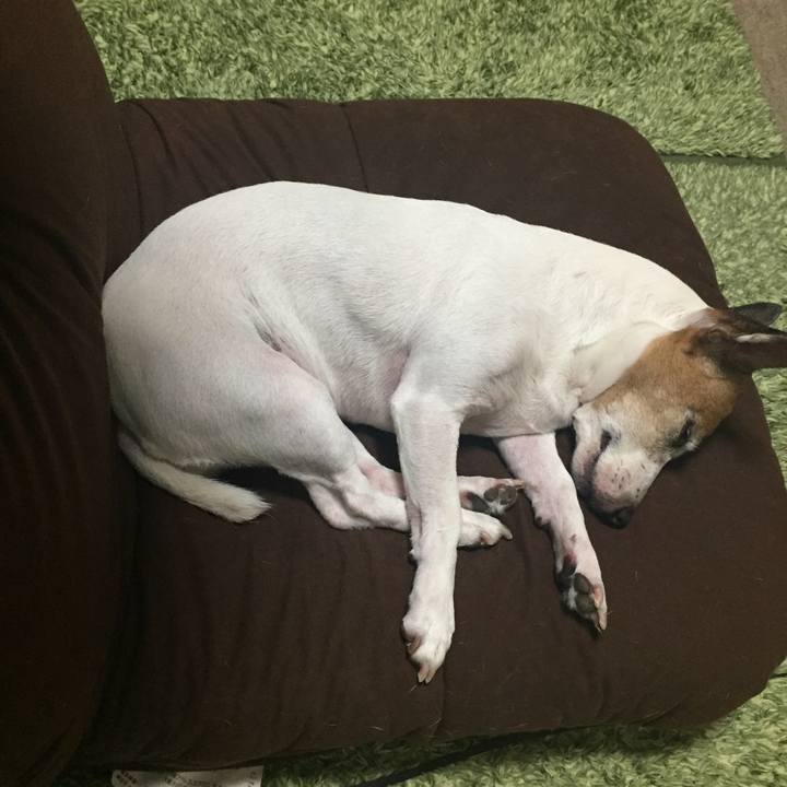 0e8f7410 ec3d 4a91 9266 5e540b8b8153