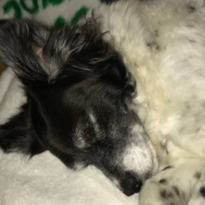 0e8ff608 38e9 49b5 a076 26aa014ee26f