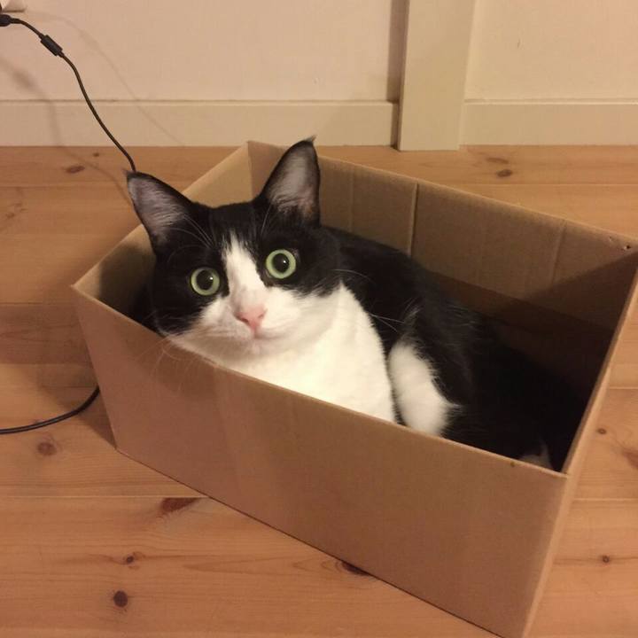 0e90cb1b 7034 409c a621 6bd8ab56a2a2