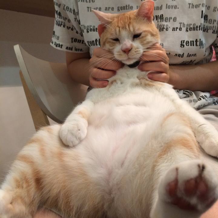 0e921108 6b16 4cfc b0a9 2703eebc49a9