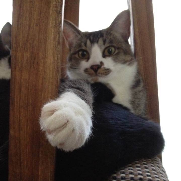 0e9215b2 989c 4433 b88a b6670234fe58