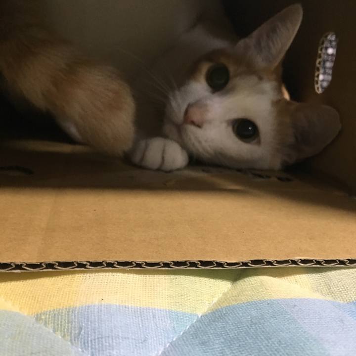 0e9244b9 484c 43cf 9551 aa0916f13ccc