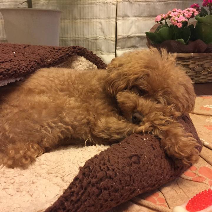 0e929993 bf9a 40cf 9725 072d7ad41c68