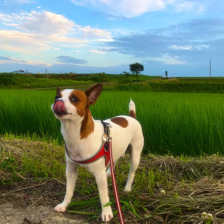 0e93745f 17a5 48d7 948f 3af9ff63a49c