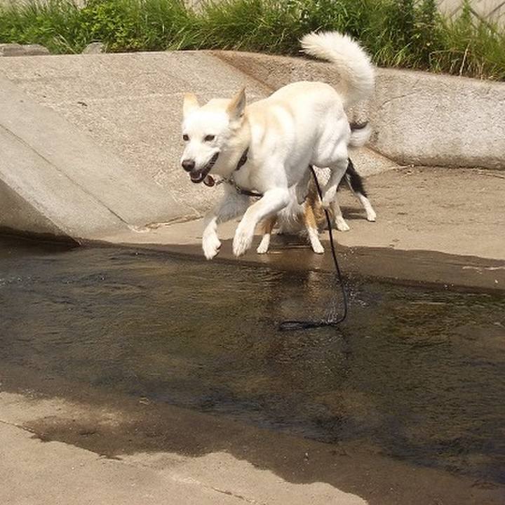 0e945380 b379 4484 b12b 7bce471adf34