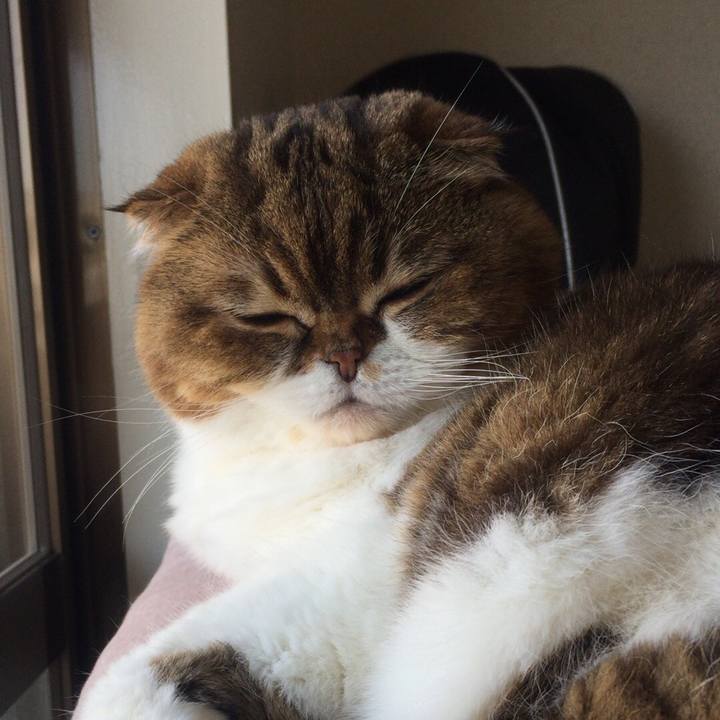 0e9538bc 5fd1 47e9 b322 0424881b900c