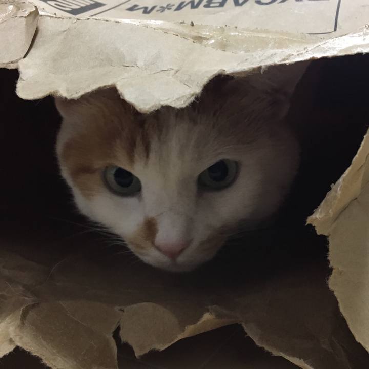 0e958517 0a33 4cd5 86a6 a96f5c6cefe8