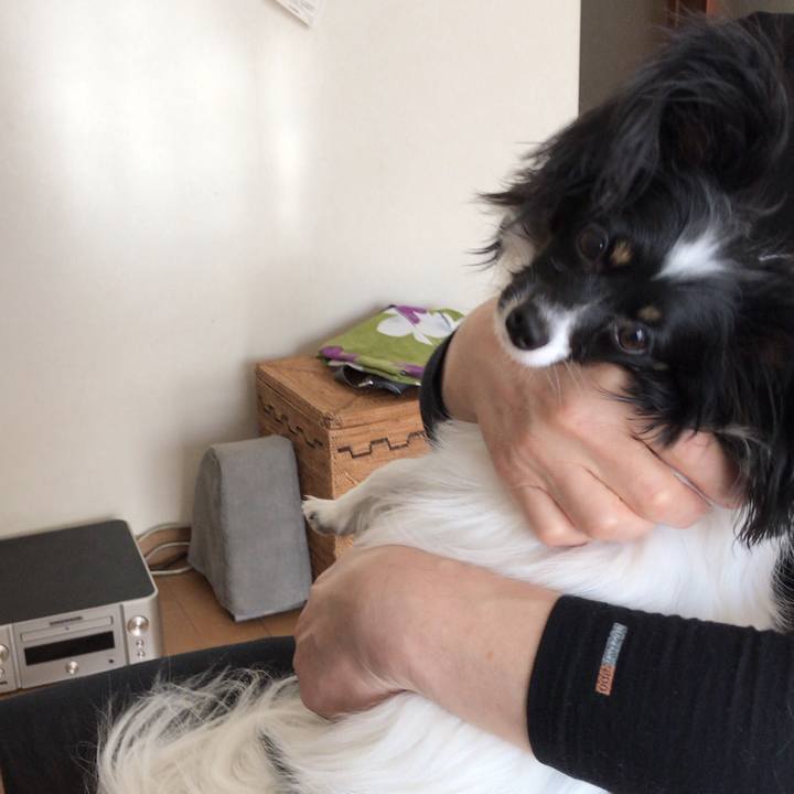 0e9587dd 9d5c 4fe3 b057 8fe2d1577962