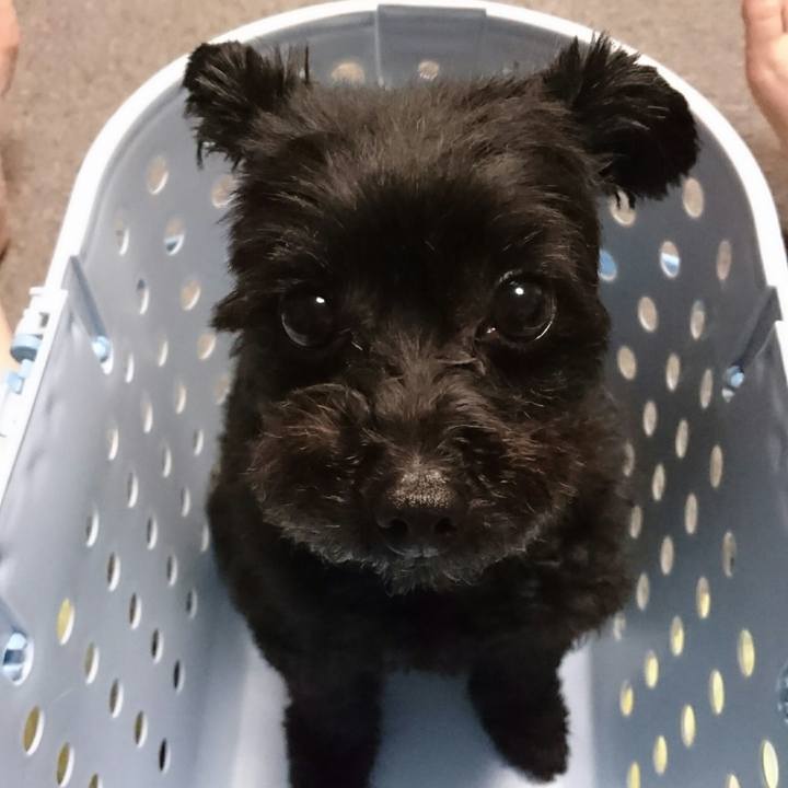 0e959fba 3bfd 44a1 8374 84d509aa5d67