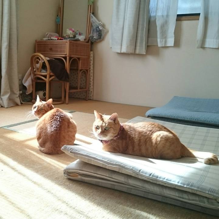 0e95b071 7853 4534 b7f6 a44b942a3d1e