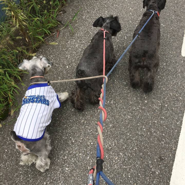 0e95c0f5 e1fe 46a5 b09d aa5e3d60f866