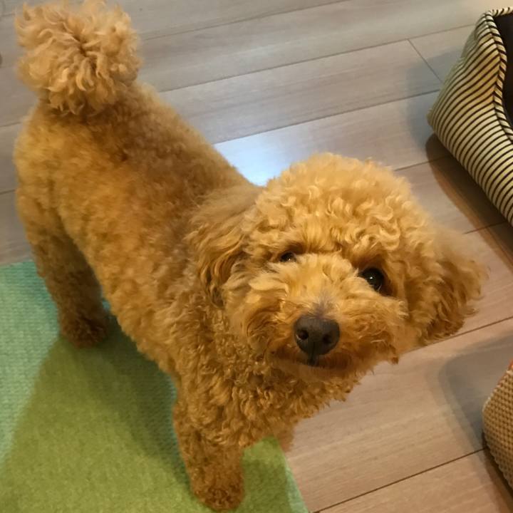 0e95e49d 74cf 4878 8926 ed734f2c2b6a