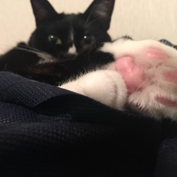 0e968791 6263 463f a15c 7bedee9da85d