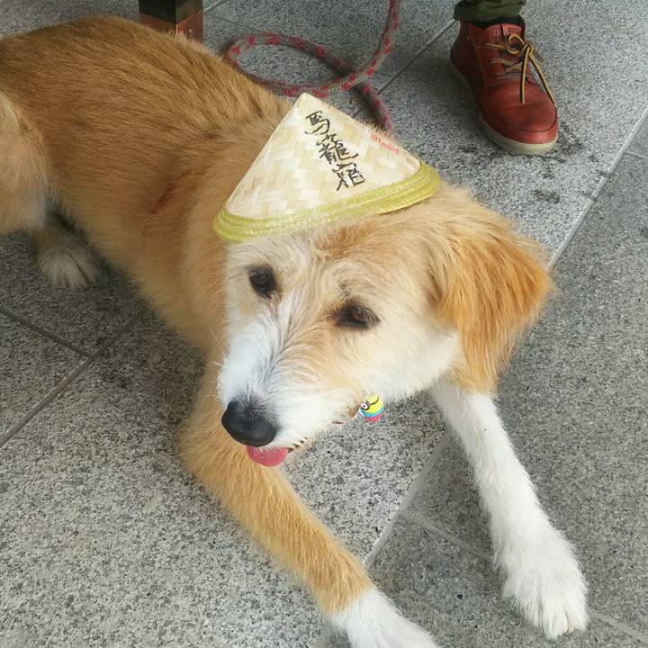 0e981890 a148 441c 9d86 5d893217d9f5