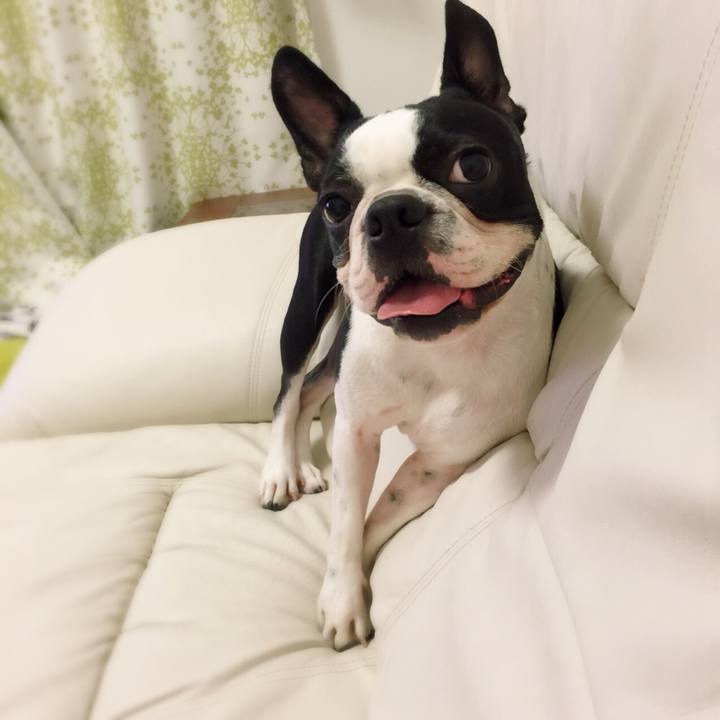 0e984b11 28e5 4e34 ac8d 80c208dcb2fd