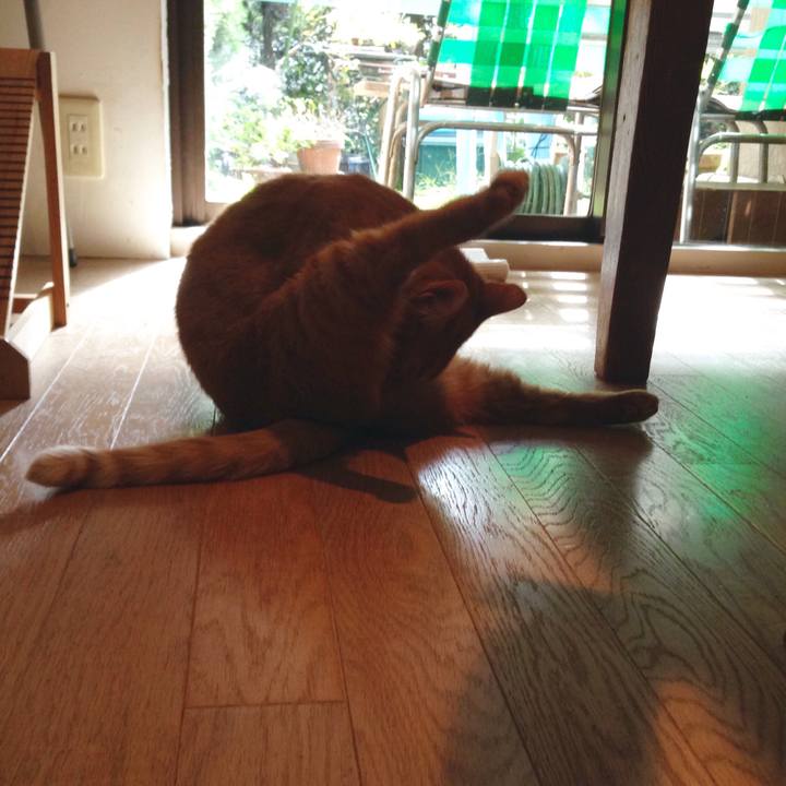 0e9886fa d6d1 4ee5 9ed0 8381c316fff4