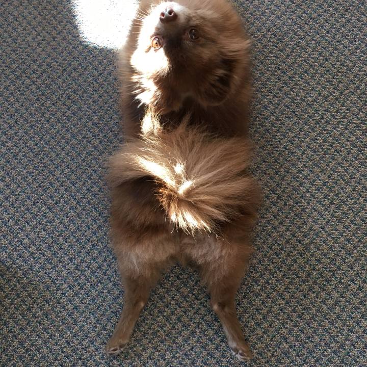 0e99051d f10e 4341 89af 286c62f720ec