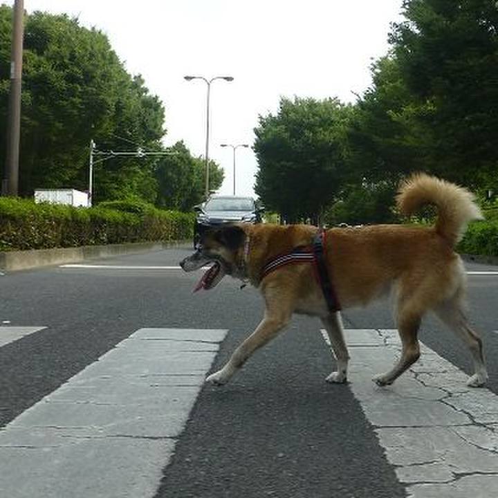 0e9959e3 1ffe 40e6 a9d6 bd9c7bcf6a97