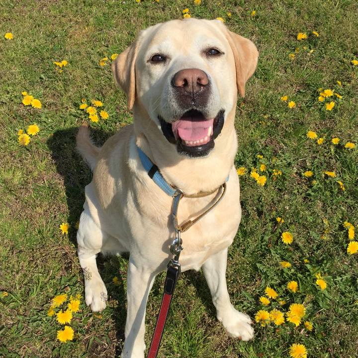 0e995d35 6653 415d b443 2156dbd6b21d