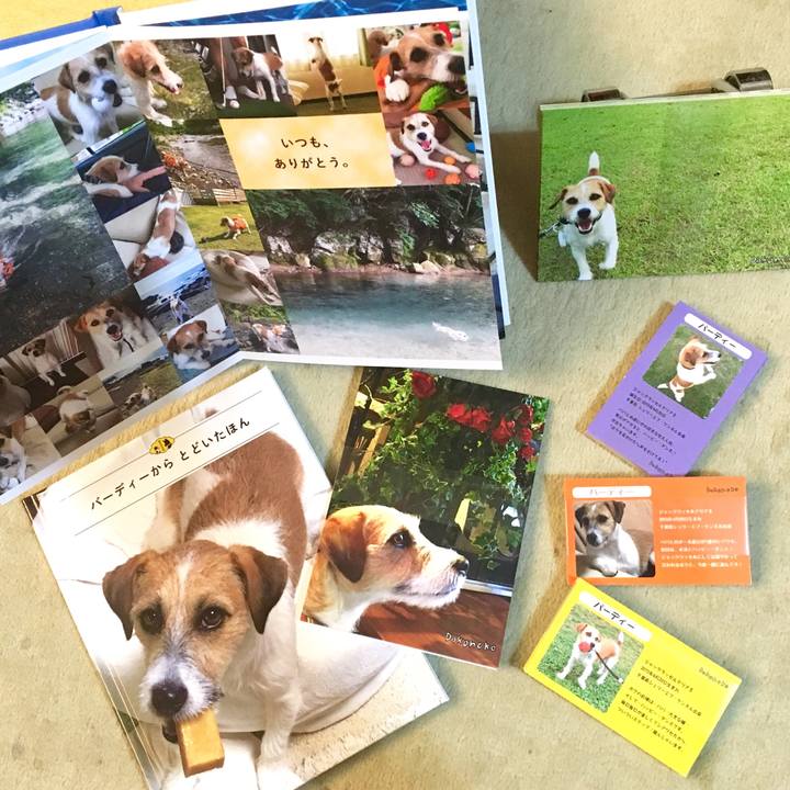 0e997515 f328 43e8 85f1 d2fa0440be76