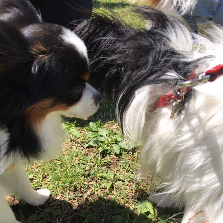 0e99d4c7 2ef1 4a73 9607 07eadb465e06