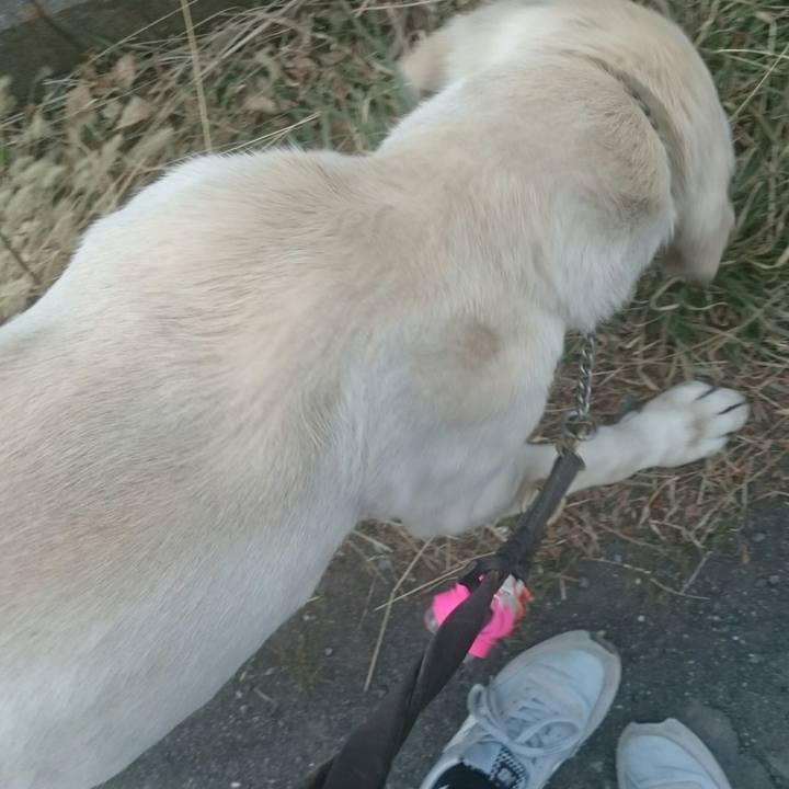 0e9a7e03 8d7f 4ea4 a3b7 4ad5b2066898