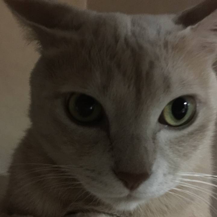 0e9a9709 1dca 4ae2 8e92 51397bf72445