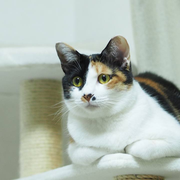 0e9ab44f 1543 463d aa9a e251c7b02e84