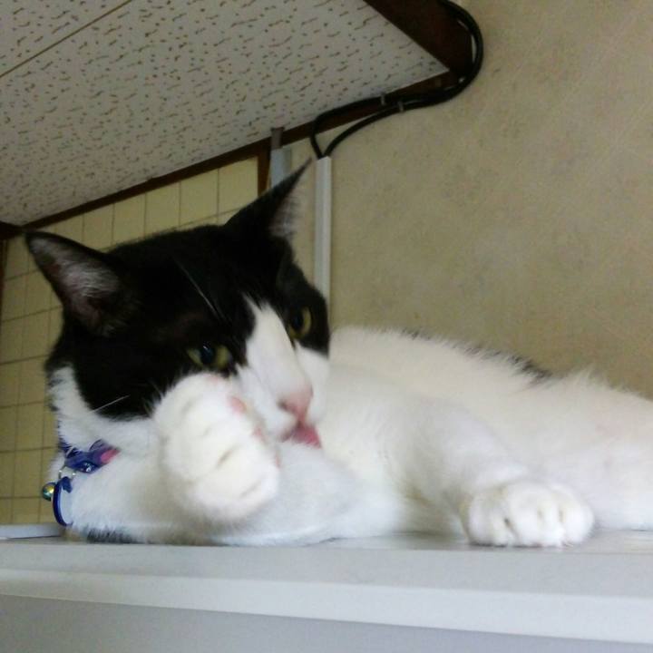 0e9ac476 040e 46a1 86df db7fced43983