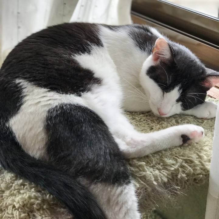 0e9acfaa 6640 4d56 940a 3199dbc211b4