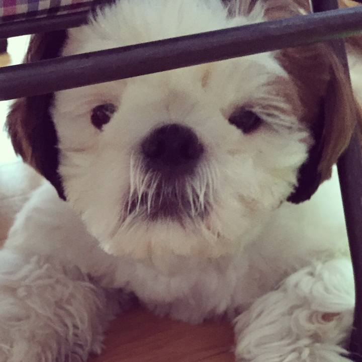 0e9b3539 224e 497f ae21 88f2cf857915