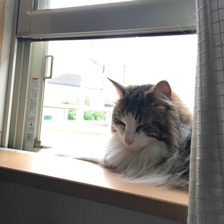 0e9b85ed 9065 4020 a4ba 369603344fed