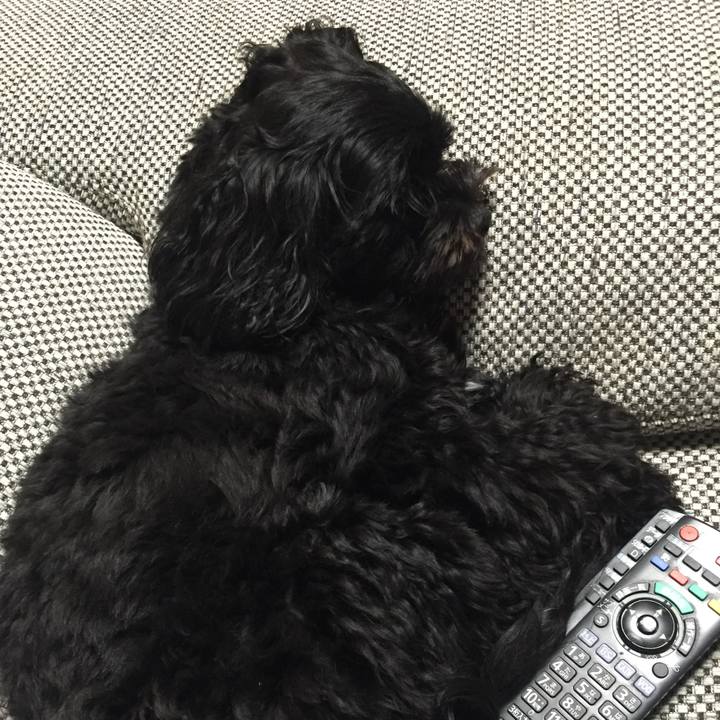 0e9b97fd 15fd 40ab 9059 b34000df2c65