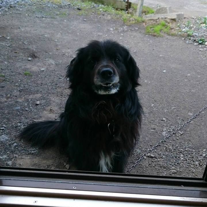 0e9bbcf3 142b 40b3 b2e9 8bfb07844f8a