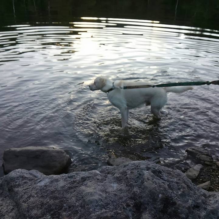 0e9be804 1034 4339 8150 635b8318c969