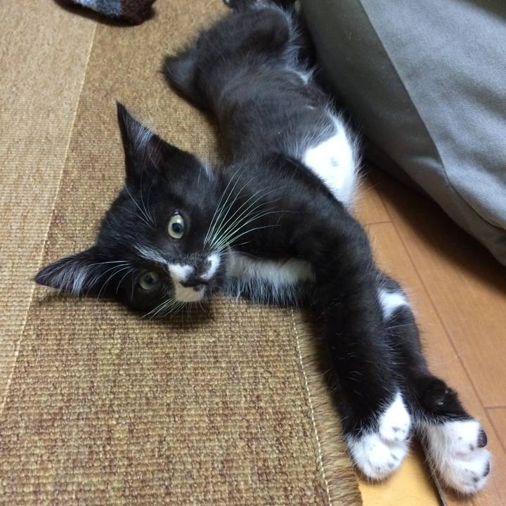 0e9c431f 6d50 4d10 86b4 7dd05a90d31c