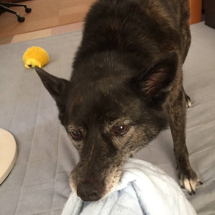 0e9cb1b5 80a9 4a45 aab0 b5e39c6b62ff