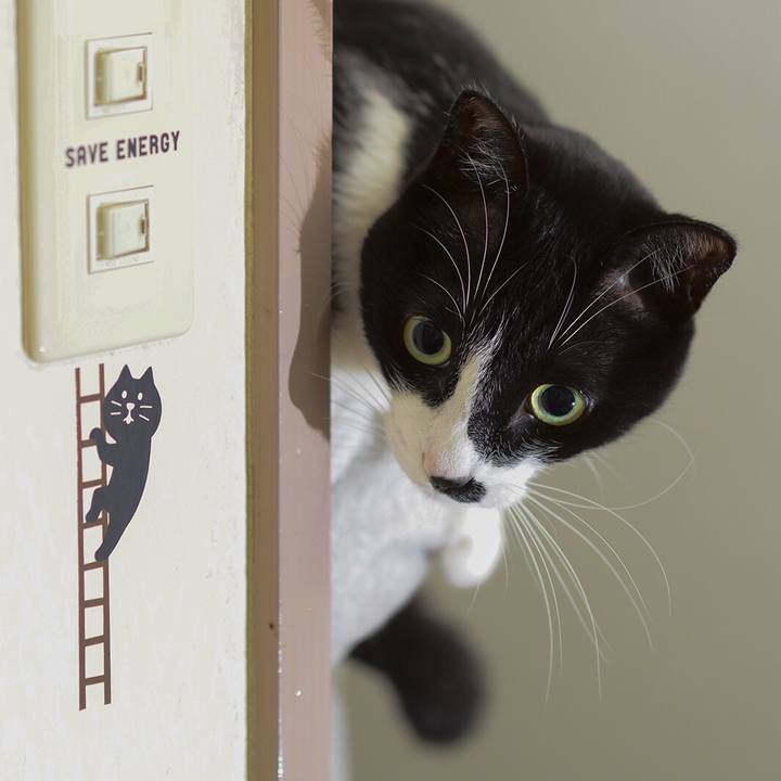 0e9dabfb f6e7 459e 8911 b6ae48d74521