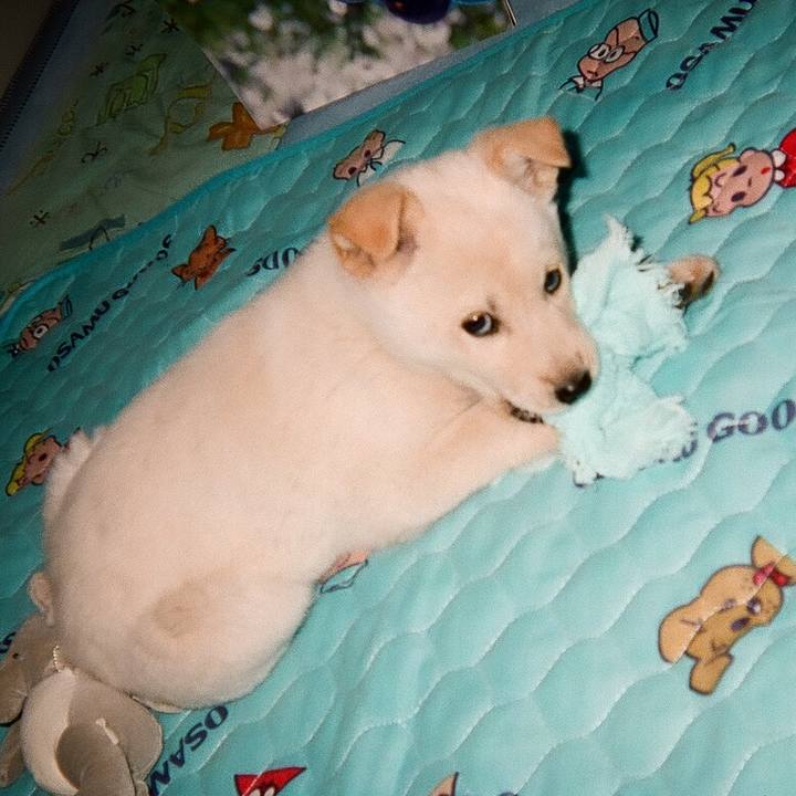 0e9e2cef 5da8 460f 9218 53aff35b7885