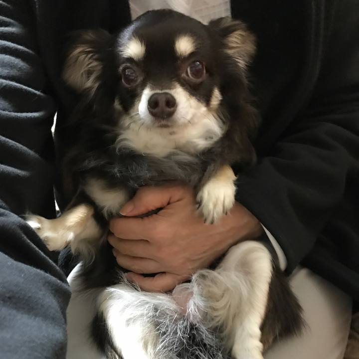 0e9e7f01 b787 4aa2 ab38 2f1e11cde110