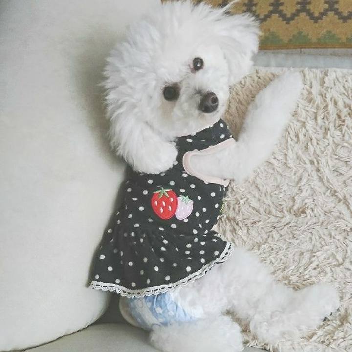 0e9f184a 8241 4d6c afdf c31603d419d1