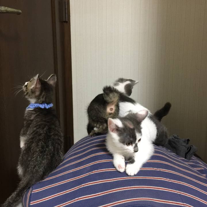 0e9f68b8 6872 420d a2df 1d600c1c5698