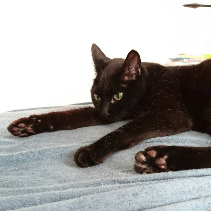 0e9fc825 fa08 4be2 a2ab e5b61cbaff53