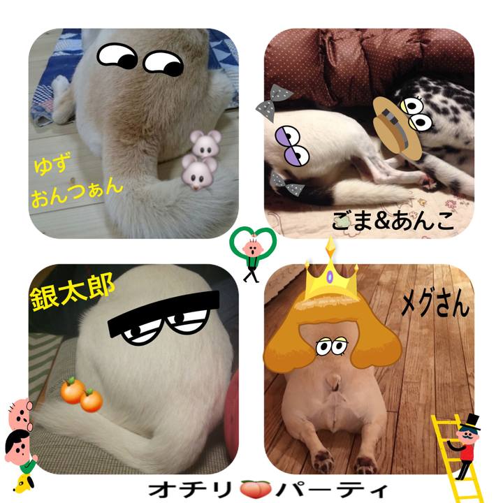 0e9ff2cd ada5 489b aa59 da192d6c96e2